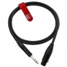 REDS STUDIO (5M) Js/Kz NEUTRIK MCN 24 50 - XLR F - JACK STEREO 6.3