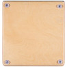 MEINL AETLBF CAJON ARTISAN EDITION
