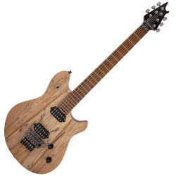 EVH WOLFGANG WG STANDARD...