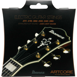 IBANEZ IFAS6SL - STRUNY DO...