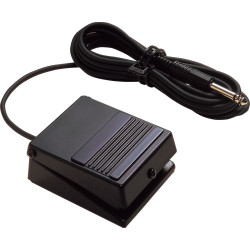 ROLAND DP-2 SUSTAIN