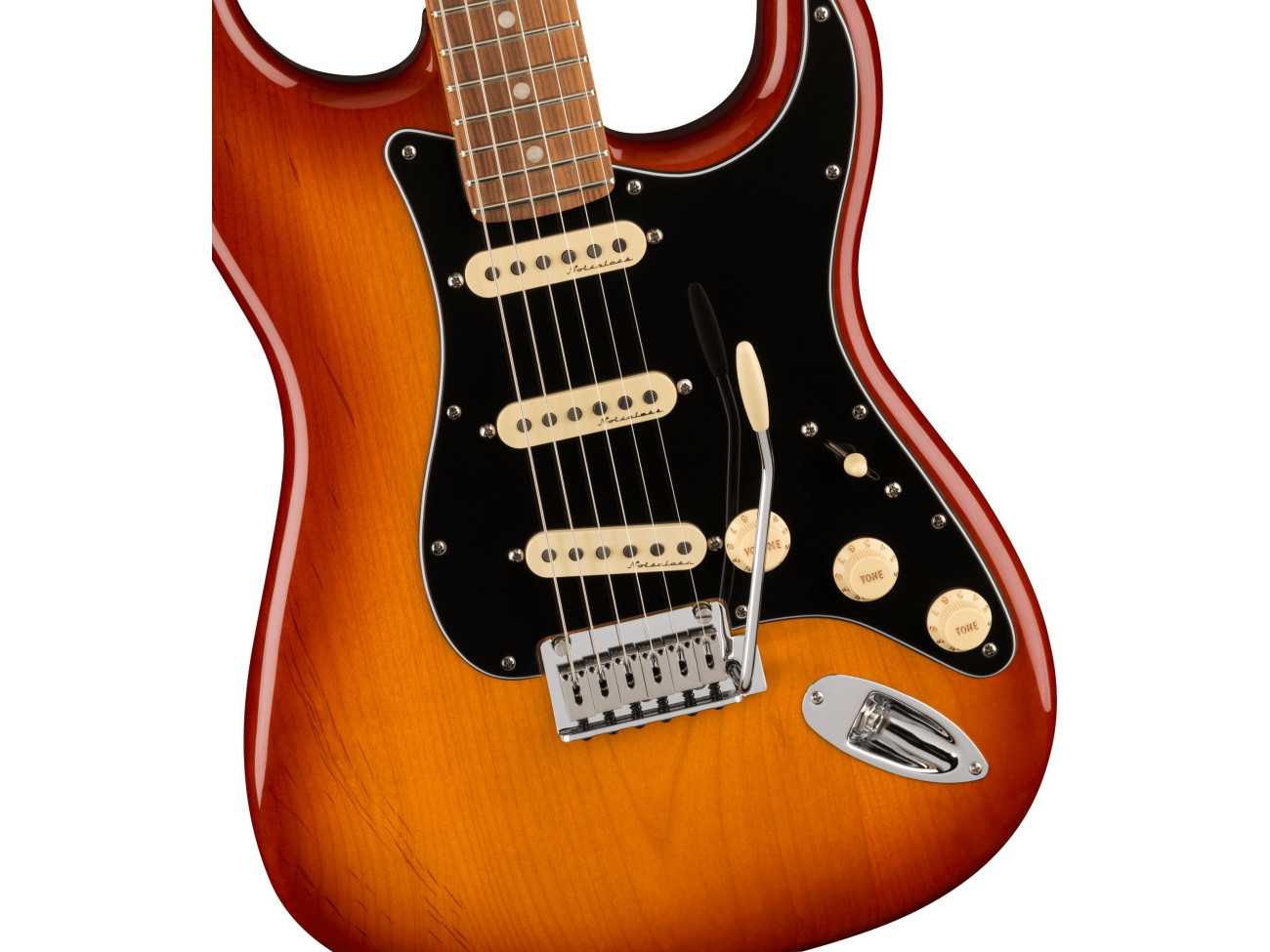 (レイ) Fender Player Plus Stratocaster fender-player-plus-