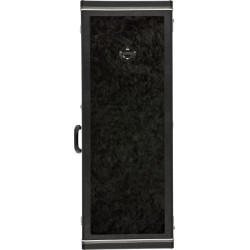 FENDER GUITAR DISPLAY CASE...