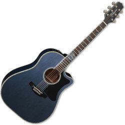 TAKAMINE LTD2021 - GITARA...