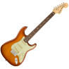 FENDER AMERICAN PERFORMER STRATOCASTER RW HBST - GITARA ELEKTRYCZNA