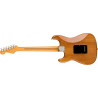 FENDER AMERICAN PROFESSIONAL II STRATOCASTER RW RST PIN - GITARA ELEKTRYCZNA