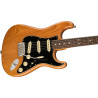 FENDER AMERICAN PROFESSIONAL II STRATOCASTER RW RST PIN - GITARA ELEKTRYCZNA