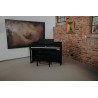 CASIO AP-710 BK - PIANINO CYFROWE
