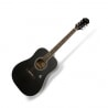 EPIPHONE DR 100 EB