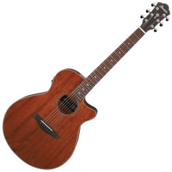IBANEZ AEG220-LGS - GITARA...
