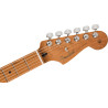 FENDER LIMITED EDITION PLAYER STRATOCASTER HSS ROASTED NECK MN SHP - GITARA ELEKTRYCZNA