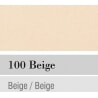 HM BG27 WHITE MATT (100)