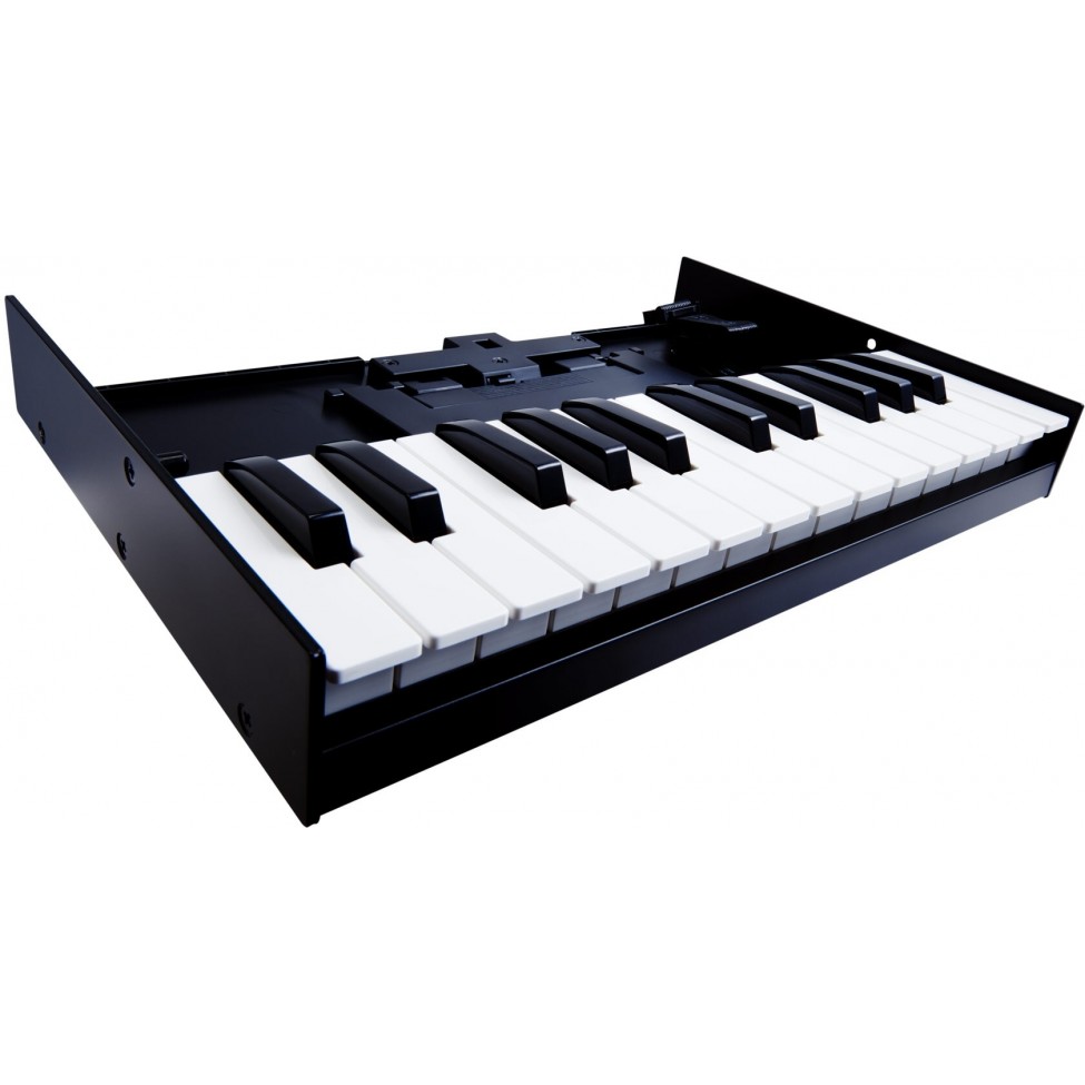 ROLAND K-25M