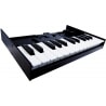 ROLAND K-25M