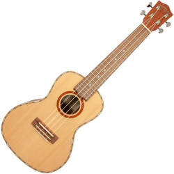 LANIKAI CDST-C CONCERT -...