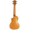 LANIKAI FM-CETC CONCERT - UKULELE KONCERTOWE