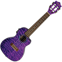 LANIKAI QM-PUCEC CONCERT...