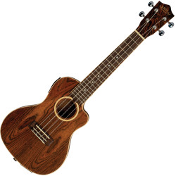 LANIKAI FB-CETC CONCERT -...