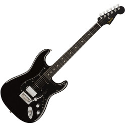 FENDER DE PLAYER...