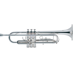 J. MICHAEL TR-300SA TRĄBKA