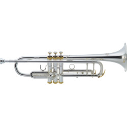 J. MICHAEL TR-500S TRĄBKA