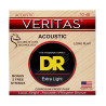 DR VTA 10-48 VERITAS STRUNY GITARA AKUSTYCZNA