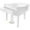 ROLAND GP609-PW - FORTEPIAN CYFROWY - POWYSTAWOWY
