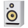 KRK ROKIT RP5 G4 White Noise (PARA)
