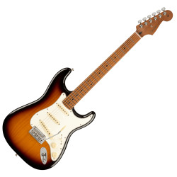 FENDER DE PLAYER...