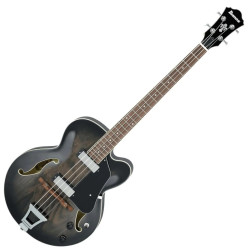 IBANEZ AFB200-TKS - GITARA...