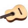 ORTEGA R121G - GITARA KLASYCZNA 4/4