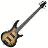 IBANEZ GSR205SM-NGT