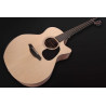 FURCH BLUE DC SW LR BAGGS SPE - GITARA ELEKTROAKUSTYCZNA