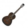 IBANEZ AVN6-DTS ARTWOOD VINTAGE
