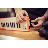 ARTURIA MICROLAB ORANGE - KONTROLER MIDI