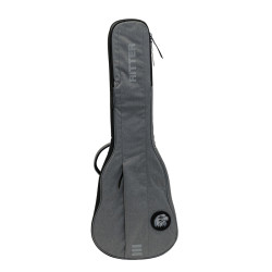RITTER LES PAUL RGC3-L/EGR...