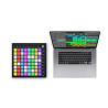 NOVATION LAUNCHPAD X - KONTROLER MIDI