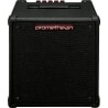 IBANEZ P20 PROMETHEAN