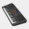 YAMAHA PSR-SX900