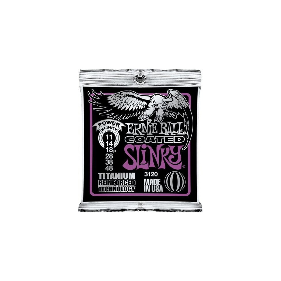 ERNIE BALL 3120 11-48