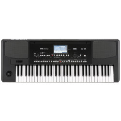 KORG PA300