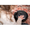 MEINL STD2BK STEEL TONGUE DRUM