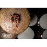 MEINL MABL DZWONKI NA HI-HAT