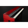 NORD GRAND + POKROWIEC + STAND