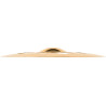 MEINL CC18TRC-B CLASSIC CUSTOM TRASH CRASH 18''