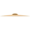 MEINL CC22PR-B CLASSIC CUSTOM POWERFUL RIDE 22''