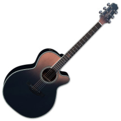 Takamine Japan - gitary - Riff.net.pl