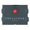 IBANEZ PTGATE PENTATONE - BRAMKA SZUMÓW