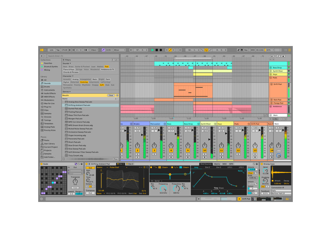 ABLETON LIVE 12 STANDARD (DIGI) - OPROGRAMOWANIE STUDYJNE - Riff