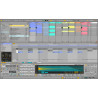 ABLETON LIVE 12 STANDARD EDU (DIGI)  - OPROGRAMOWANIE STUDYJNE